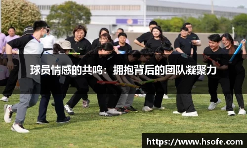 星空·综合体育官方网站